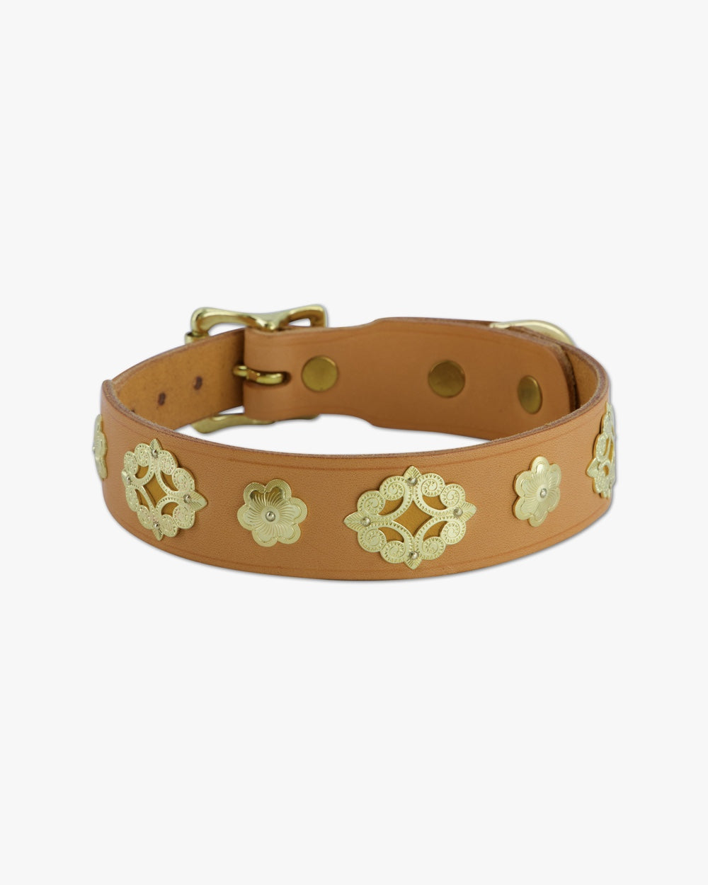 Hundehalsband breit | Accessoires