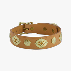 Hundehalsband breit | Accessoires