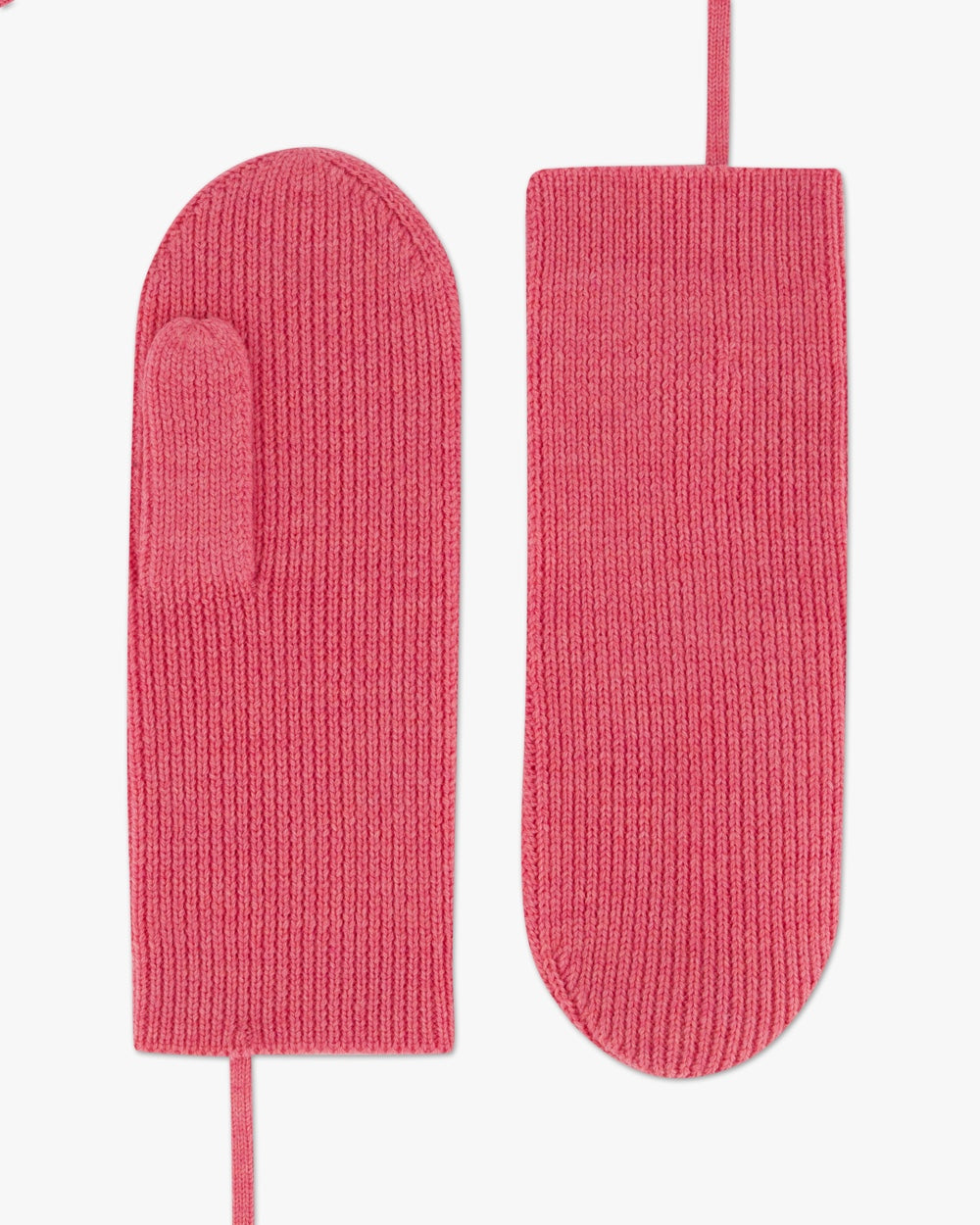Lee | Handschuh | Accessoires